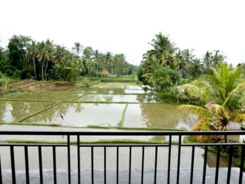 Bisma Cottages Ubud Zewnętrze zdjęcie