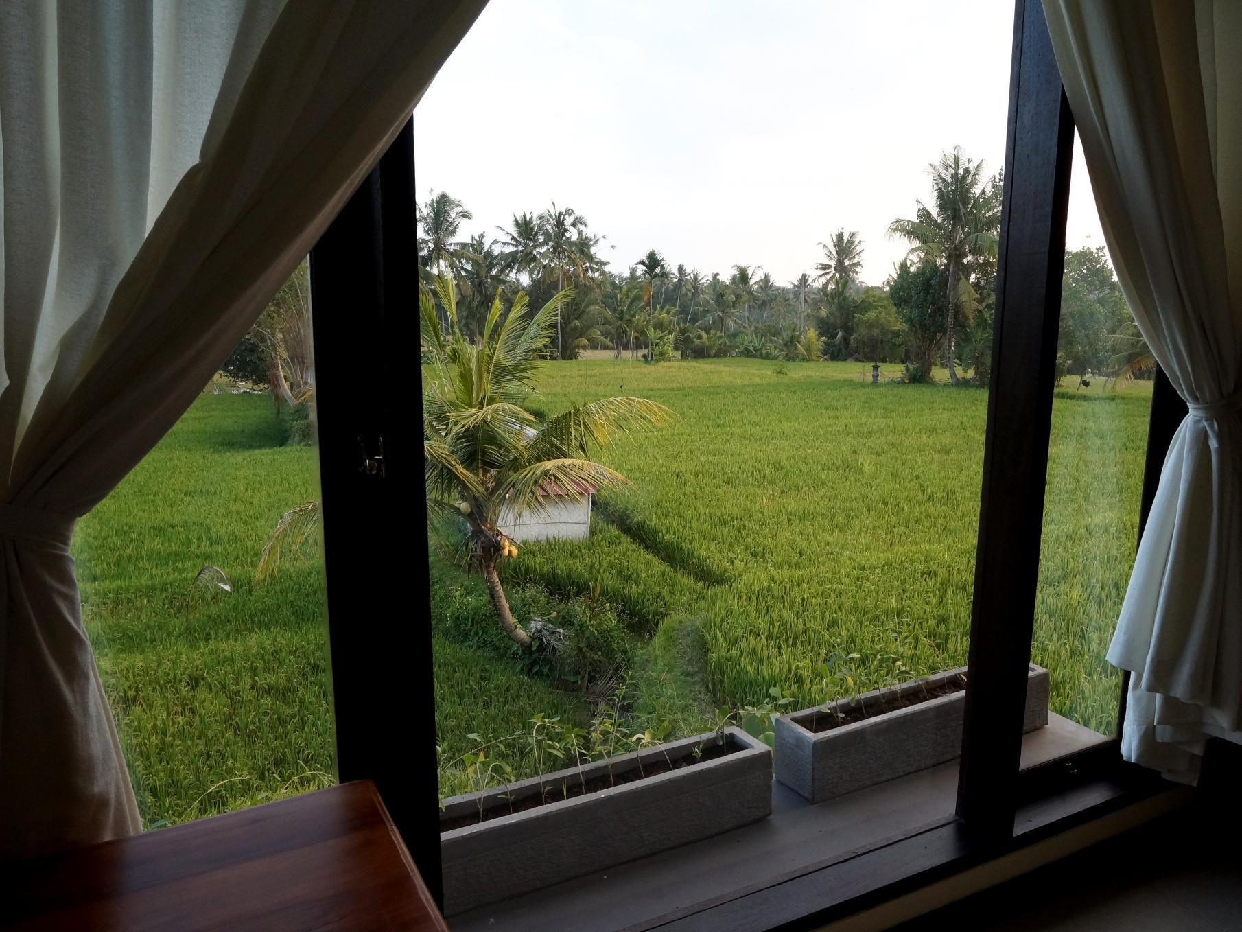 Bisma Cottages Ubud Zewnętrze zdjęcie