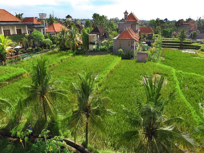 Bisma Cottages Ubud Zewnętrze zdjęcie