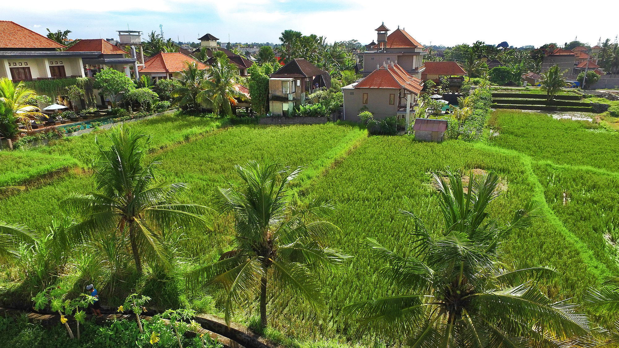 Bisma Cottages Ubud Zewnętrze zdjęcie