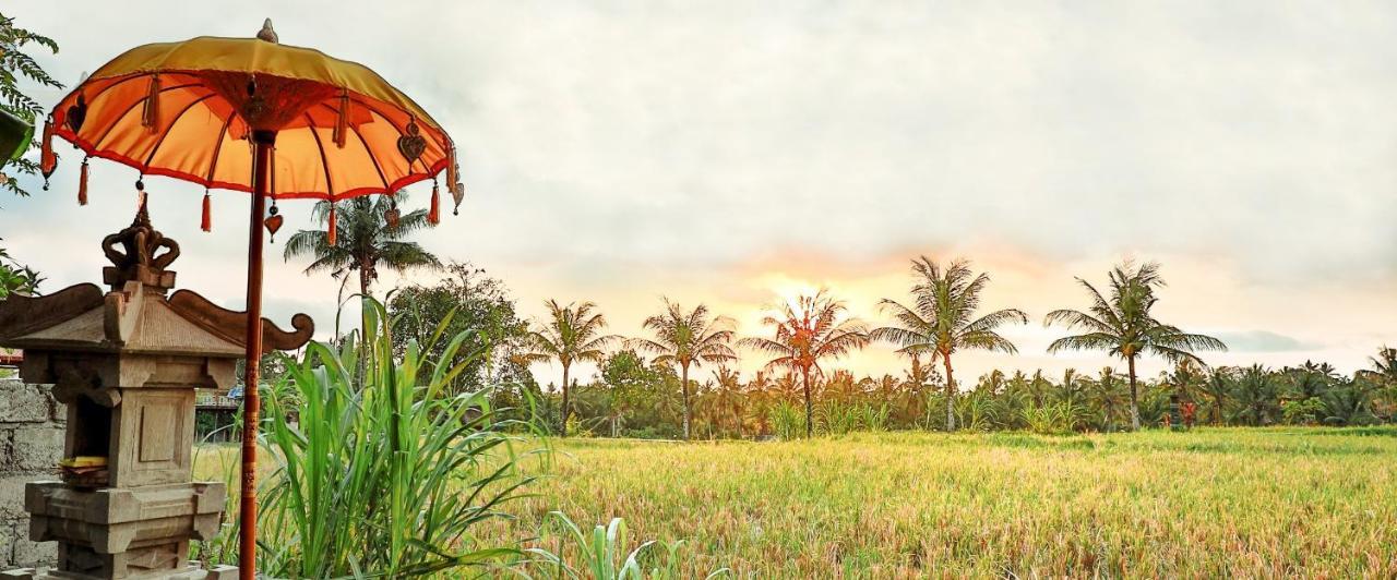 Bisma Cottages Ubud Zewnętrze zdjęcie